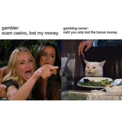 woman yelling at cat meme