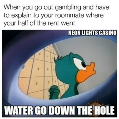 gambling duck meme