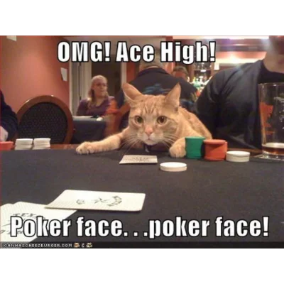 poker face cat meme