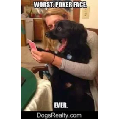 poker face dog meme