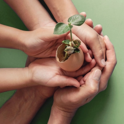 Hands Holding Seedling in Eggshells - CSR Corporate Social responsibility