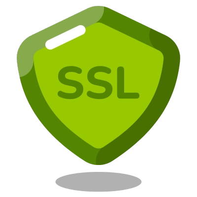 Security SSL Icon