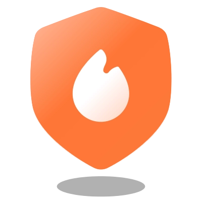 Firewall Security Icon