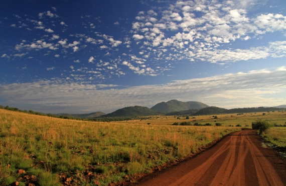 Pilanesberg National Park at South Africa